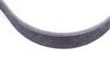 ES#2635521 - 11281437929 - Accessory Belt - Drives the alternator, water pump, and power steering pump - Continental - BMW