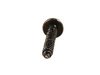 ES#17111 - 07149112637 - Torx Bolt - Priced Each - ST4.8X32 - Genuine BMW - BMW