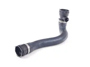 Lower Radiator Hose