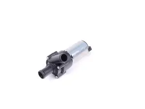 Auxiliary Water Pump