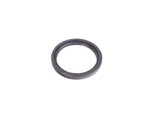 Rear Main Crankshaft Seal