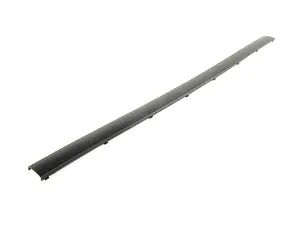 Rear Bumper Moulding - Center