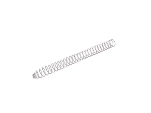 Chain Tensioner Spring - Timing Chain