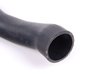 ES#2677884 - 11531745595 - Coolant Hose - Connects from water pump to top of radiator - Elaplast - BMW