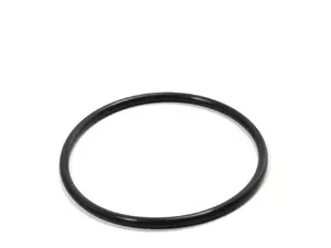 Thermostat Gasket