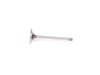 ES#263644 - 028109601d - Intake Valve - Priced Each - Located inside the cylinder head - AE - Volkswagen