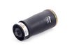 ES#2593587 - 37121095579 - E53 X5 Rear Pneumatic Air Spring - Left - Complete rear air spring - Arnott - BMW