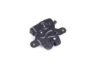 Barn Door Lock - Rear Right