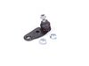 ES#2588123 - 31126772303 - Ball Joint - Left - Replace your worn out ball joint - Lemforder - MINI