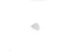 ES#175415 - 63316988172 - Push Button , Reading Light - Gray - For the center dome light with additional lights - Genuine MINI - MINI
