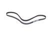 ES#2535357 - 6pk1590 -  Accessory Belt - Recommended to be replaced at the first sign of cracking - Dayco - Audi