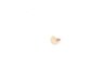 ES#16394 - 07131022174 - Screw - Priced Each - Located on the front wheel arch - Genuine MINI - MINI