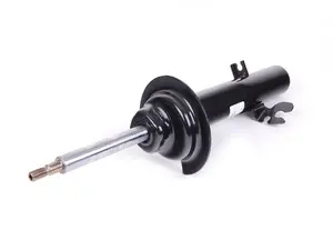 Strut Assembly - Front Left