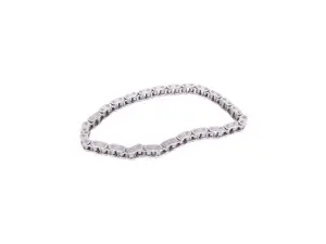 Oil Pump Chain