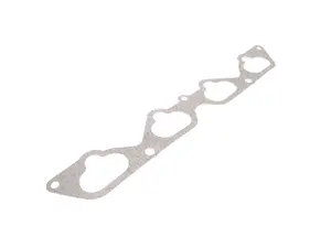 Lower Intake Manifold Gasket