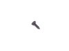 ES#2675255 - 07143448498 - FILLISTER HEAD SELF-TAPPING - Genuine MINI - 
