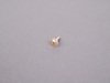 ES#89779 - 51217016951 - SCREW - Genuine BMW - BMW