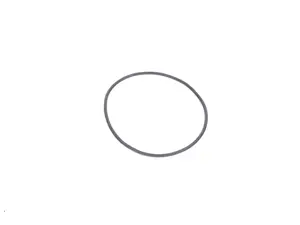 Gasket ring - priced each