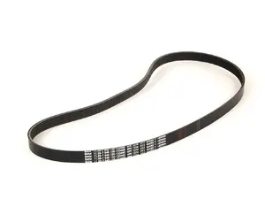 Multi Rib Accessory Belt