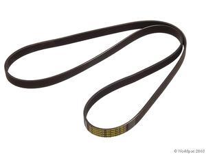 ES#1432 - 6PK1693 - Accessory Drive Belt - 6 Ribbed belt which drives all accessories. - Continental - Audi