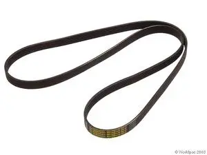 Accessory Drive Belt