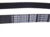 ES#1621400 - 0119970292 - Accessory Belt - 21.36x1875mm - Genuine Mercedes Benz - Mercedes Benz