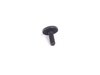 ES#2677638 - 07146959923 - Torx Bolt - Priced Each - M6X18 , Used for mounting the horn - Genuine MINI - MINI
