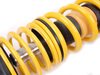 ES#4057099 - 13282002 - ST X Performance Coilover System - Fixed Damping - Set your vehicle low and tight for optimal performance. - Suspension Techniques - Volkswagen