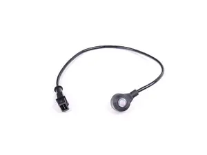 Ping / Knock Sensor
