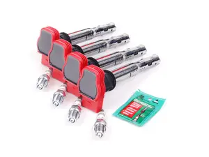 Ignition Service Kit