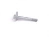 ES#1498536 - 99733121702 - ECCENTRIC SCREW - Genuine Porsche - 