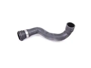 Radiator Hose - Lower