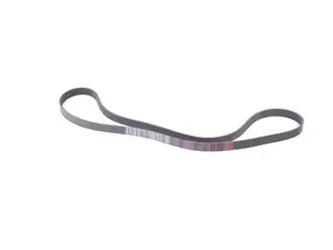 Accessory Belt