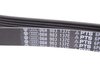 ES#281474 - 06H903137C - Accessory Belt - Recommended to be replaced at the first sign of cracking - Genuine Volkswagen Audi - Audi