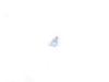 ES#252769 - N0159461 - Fender Screw - Priced Each - Use new hardware with your new parts. M6.5x19 - Genuine Volkswagen Audi - Volkswagen