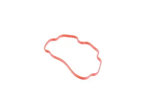 Crank Case Vent Valve Gasket