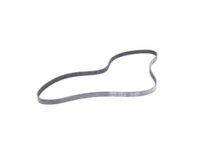 Multi-Rib Accessory Belt