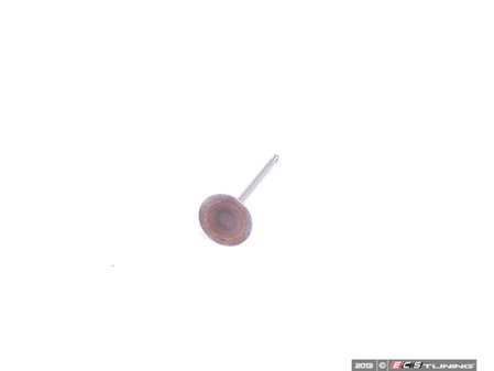 ES#2684867 - 06D109601M - Intake Valve - Priced Each - A sodium filled valve - Osvat - Audi Volkswagen