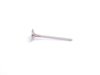ES#2684867 - 06D109601M - Intake Valve - Priced Each - A sodium filled valve - Osvat - Audi Volkswagen