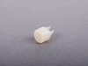 ES#313545 - 1J5867873 - NUT - Genuine Volkswagen Audi - 