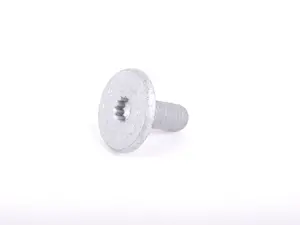 Round Head Screw
