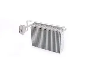 A/C Evaporator Assembly
