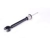 ES#2068591 - 2113239100 - Front Strut - Priced Each - Fits left or right side - Genuine Mercedes Benz - Mercedes Benz
