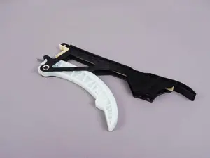 Timing Chain Tensioner With Guard Rail