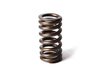 ES#22824 - 11341485590 - Valve Spring - Priced Each - Keeps your valves closed - Genuine MINI - MINI