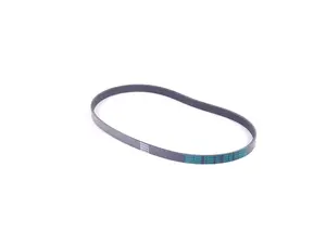 Accessory Belt