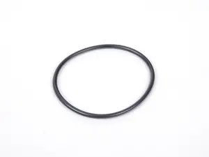 O-Ring 751.830