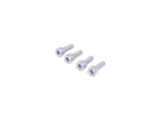 Fillister Head Screw - Pack Of 4