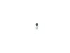 ES#1844190 - 1K0998019 - Fog Light Kit - Non Projector - Basic fog lamp kit for customers who already have fog grilles - Assembled By ECS - Volkswagen