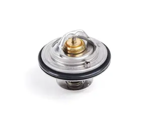 Thermostat - 80C